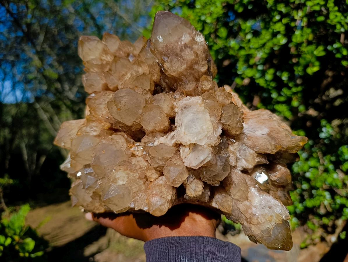 Natural XL Cascading White Phantom Smokey Luena Quartz Cluster x 1 From Luena, Congo - Toprock Gemstones and Minerals 