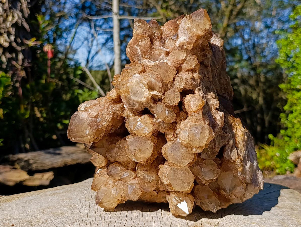 Natural XL Cascading White Phantom Smokey Luena Quartz Cluster x 1 From Luena, Congo - Toprock Gemstones and Minerals 