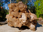 Natural XL Cascading White Phantom Smokey Luena Quartz Cluster x 1 From Luena, Congo - Toprock Gemstones and Minerals 