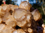 Natural XL Cascading White Phantom Smokey Luena Quartz Cluster x 1 From Luena, Congo - Toprock Gemstones and Minerals 