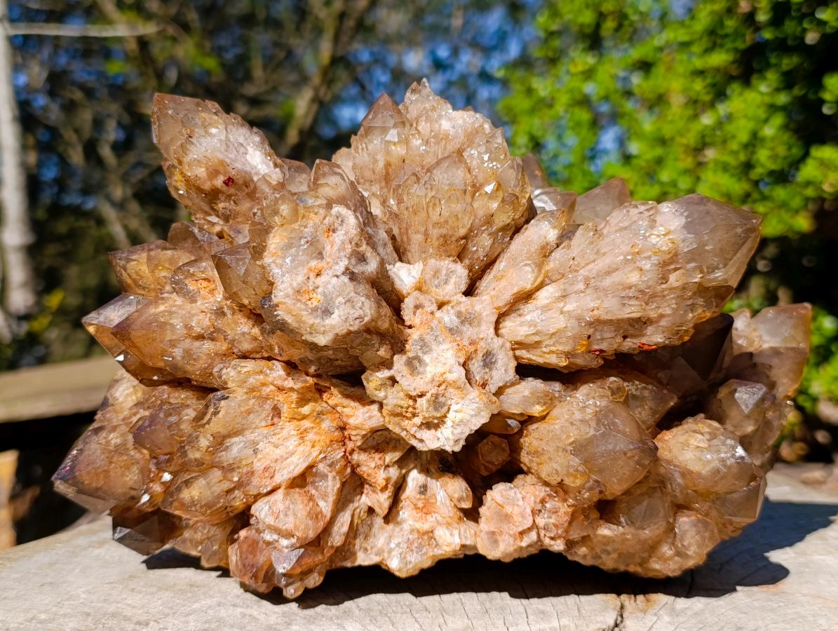 Natural XL Cascading White Phantom Smokey Luena Quartz Cluster x 1 From Luena, Congo - Toprock Gemstones and Minerals 