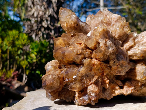 Natural XL Cascading White Phantom Smokey Luena Quartz Cluster x 1 From Luena, Congo - Toprock Gemstones and Minerals 