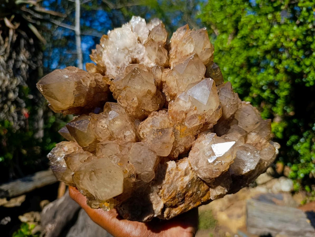 Natural XL Cascading White Phantom Smokey Luena Quartz Cluster x 1 From Luena, Congo - Toprock Gemstones and Minerals 