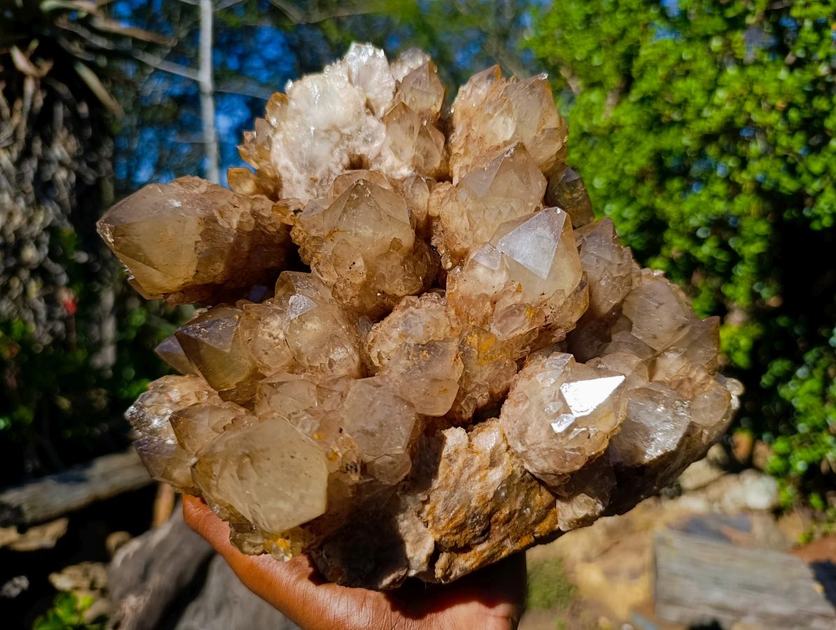 Natural XL Cascading White Phantom Smokey Luena Quartz Cluster x 1 From Luena, Congo - Toprock Gemstones and Minerals 