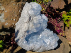 Natural Large Blue Celestite Specimen x 1 From Sakoany, Madagascar - Toprock Gemstones and Minerals 