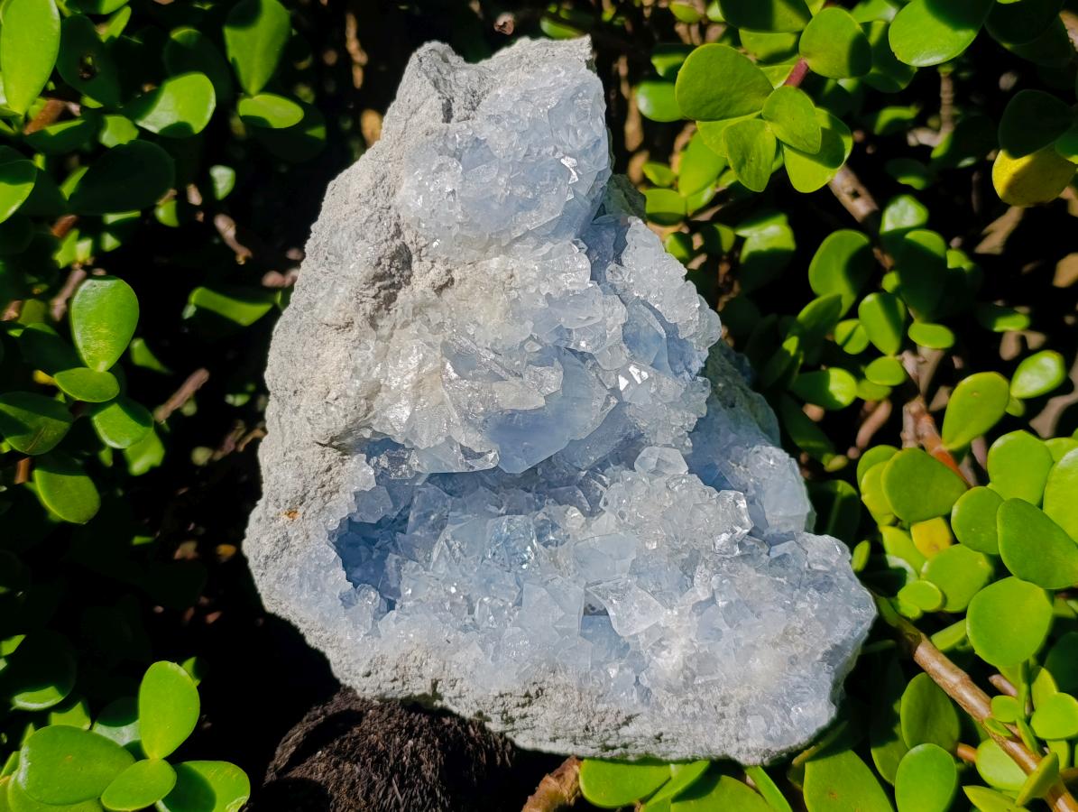 Natural Large Blue Celestite Specimen x 1 From Sakoany, Madagascar - Toprock Gemstones and Minerals 