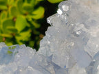 Natural Large Blue Celestite Specimen x 1 From Sakoany, Madagascar - Toprock Gemstones and Minerals 