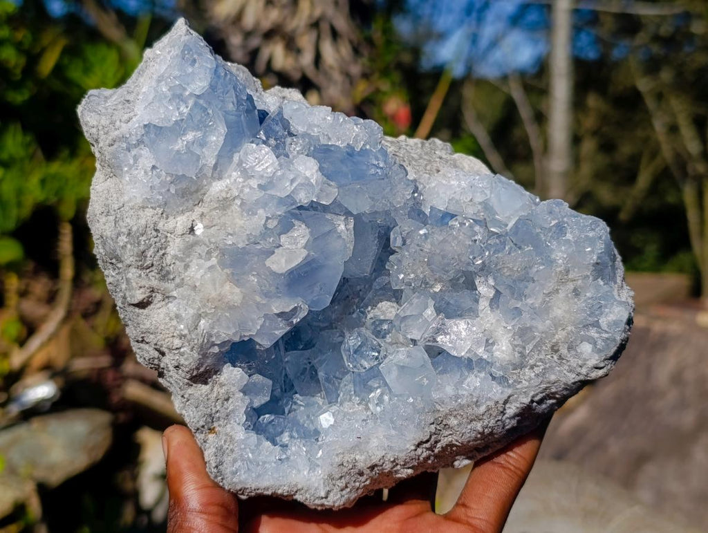 Natural Large Blue Celestite Specimen x 1 From Sakoany, Madagascar - Toprock Gemstones and Minerals 