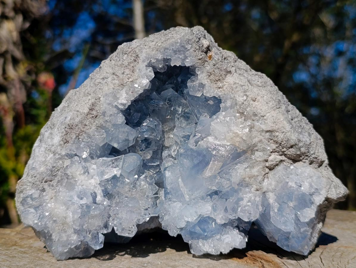 Natural Large Blue Celestite Specimen x 1 From Sakoany, Madagascar - Toprock Gemstones and Minerals 