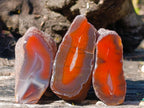 Polished One Side Red Shashe River Agate Nodules x 20 From Shashe River, Zimbabwe - Toprock Gemstones and Minerals 