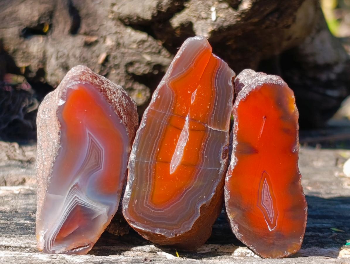Polished One Side Red Shashe River Agate Nodules x 20 From Shashe River, Zimbabwe - Toprock Gemstones and Minerals 