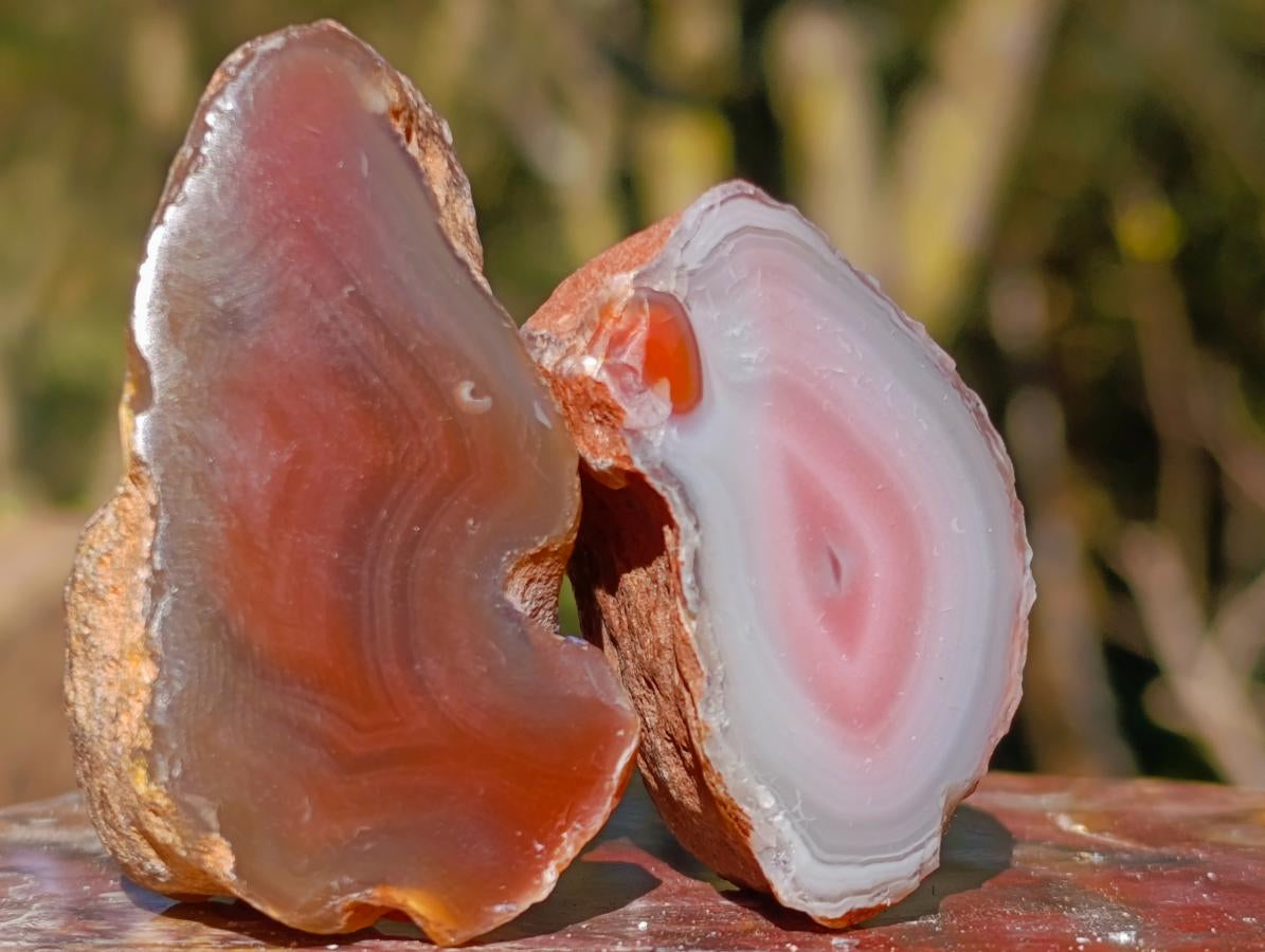Polished One Side Red Shashe River Agate Nodules x 20 From Shashe River, Zimbabwe - Toprock Gemstones and Minerals 