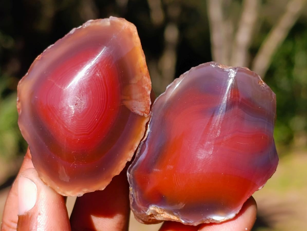 Polished One Side Red Shashe River Agate Nodules x 20 From Shashe River, Zimbabwe - Toprock Gemstones and Minerals 