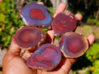 Polished One Side Red Shashe River Agate Nodules x 20 From Shashe River, Zimbabwe - Toprock Gemstones and Minerals 