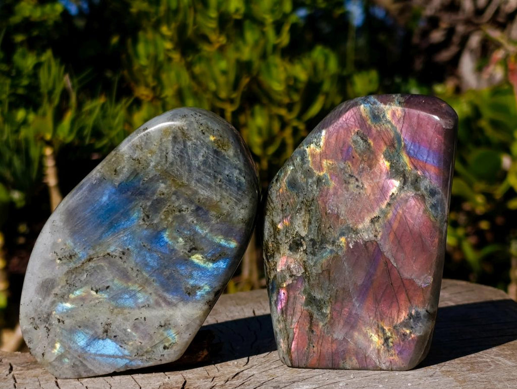 Polished Rare Purple Sunset Flash Labradorite Standing Display Pieces x 3 From Madagascar - Toprock Gemstones and Minerals 