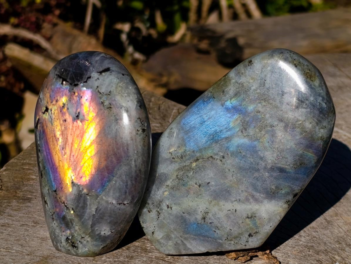 Polished Rare Purple Sunset Flash Labradorite Standing Display Pieces x 3 From Madagascar - Toprock Gemstones and Minerals 