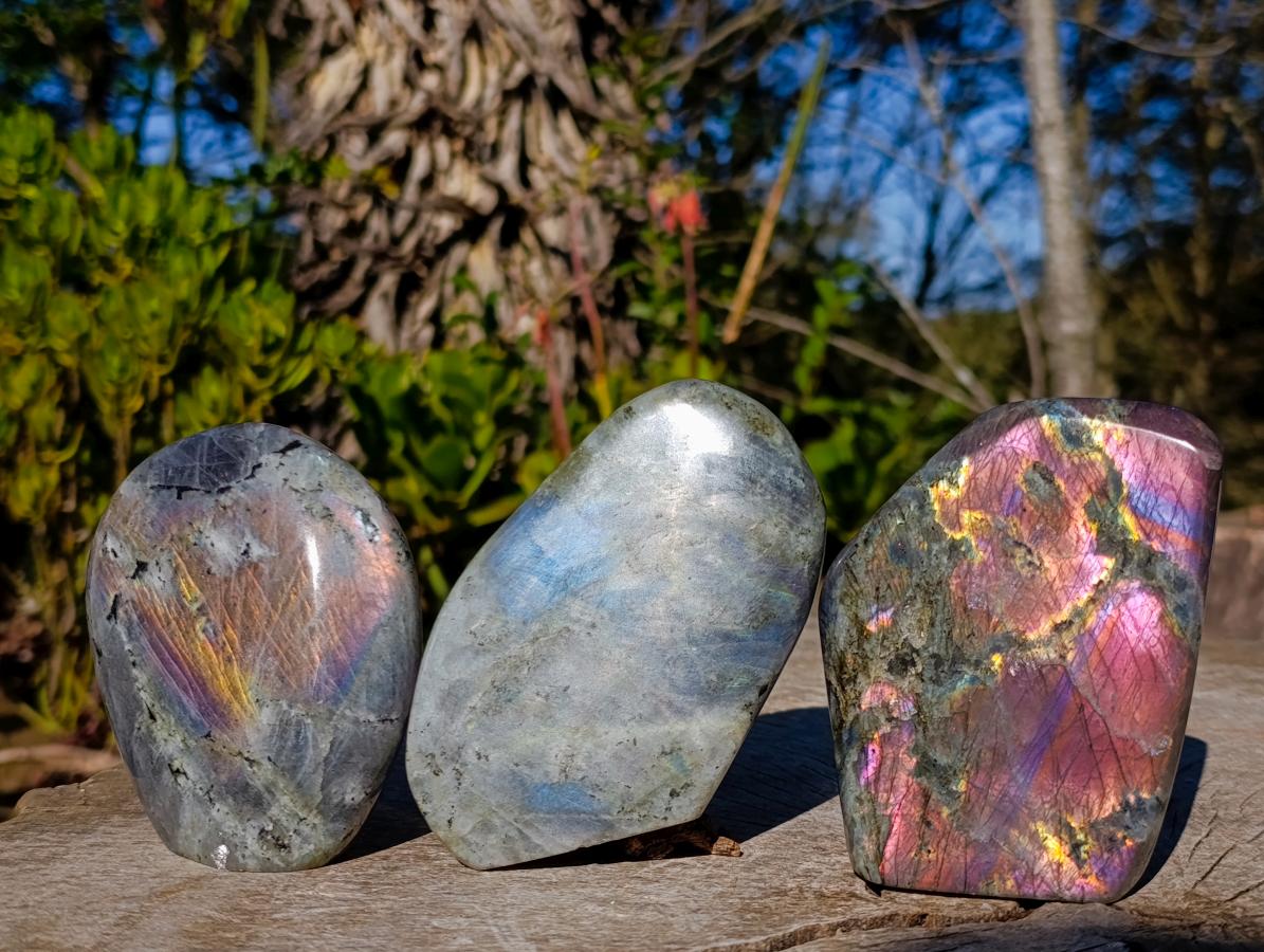 Polished Rare Purple Sunset Flash Labradorite Standing Display Pieces x 3 From Madagascar - Toprock Gemstones and Minerals 