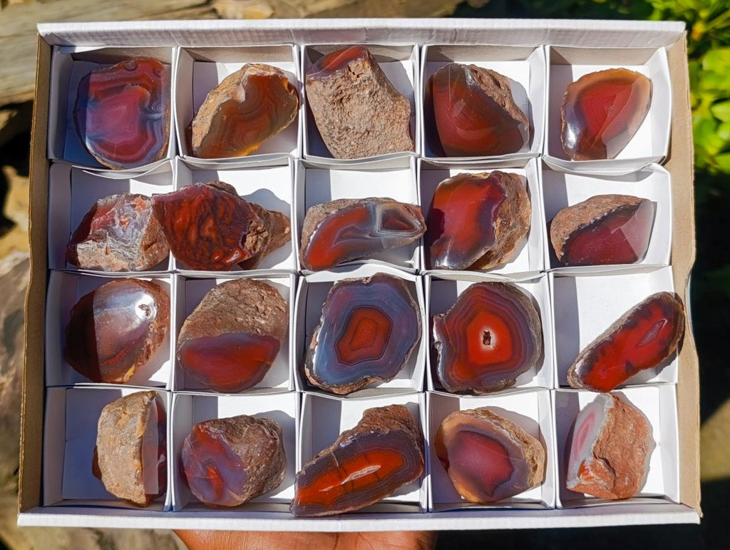 Polished One Side Red Shashe River Agate Nodules x 20 From Shashe River, Zimbabwe - Toprock Gemstones and Minerals 