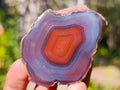 Polished One Side Red Shashe River Agate Nodules x 20 From Shashe River, Zimbabwe - Toprock Gemstones and Minerals 