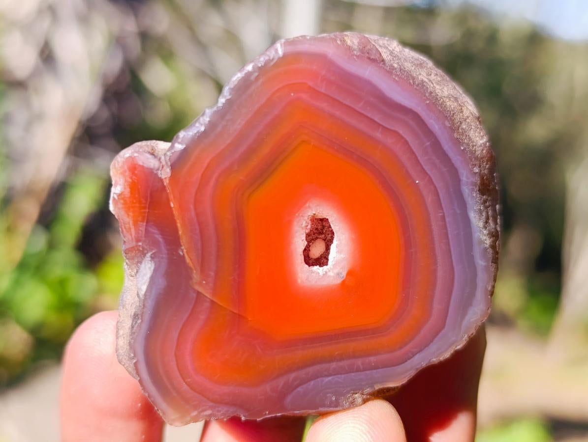 Polished One Side Red Shashe River Agate Nodules x 20 From Shashe River, Zimbabwe - Toprock Gemstones and Minerals 