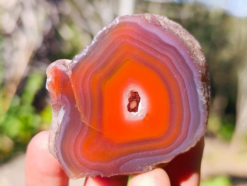 Polished One Side Red Shashe River Agate Nodules x 20 From Shashe River, Zimbabwe - Toprock Gemstones and Minerals 