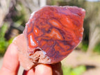 Polished One Side Red Shashe River Agate Nodules x 20 From Shashe River, Zimbabwe - Toprock Gemstones and Minerals 