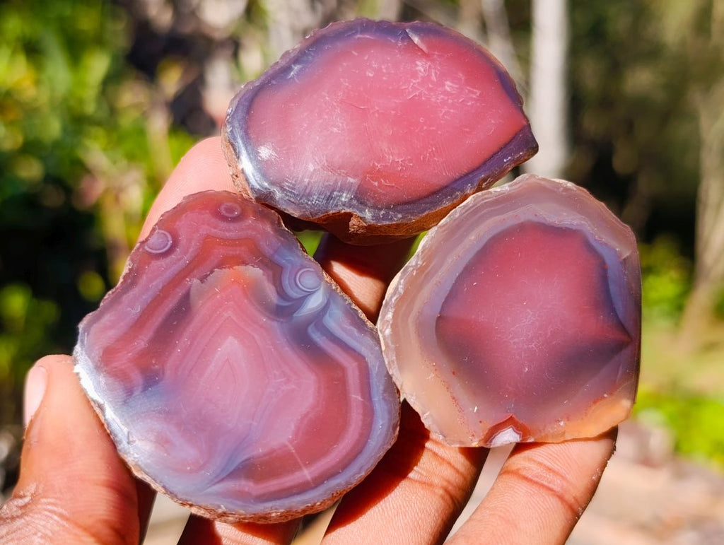 Polished One Side Red Shashe River Agate Nodules x 20 From Shashe River, Zimbabwe - Toprock Gemstones and Minerals 