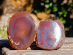Polished One Side Red Shashe River Agate Nodules x 20 From Shashe River, Zimbabwe - Toprock Gemstones and Minerals 