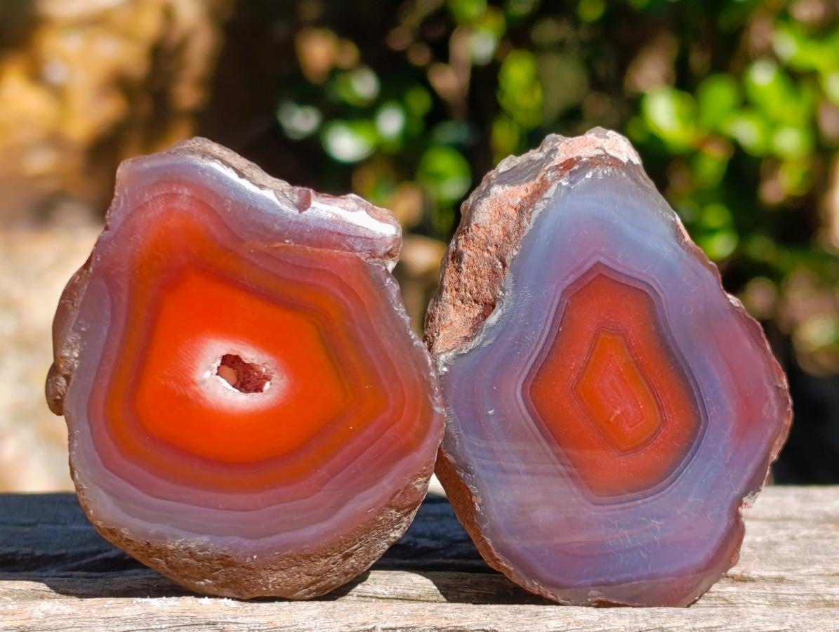 Polished One Side Red Shashe River Agate Nodules x 20 From Shashe River, Zimbabwe - Toprock Gemstones and Minerals 