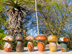 Polished Polychrome Jasper Mushrooms x 6 From NW Coast, Madagascar - Toprock Gemstones and Minerals 