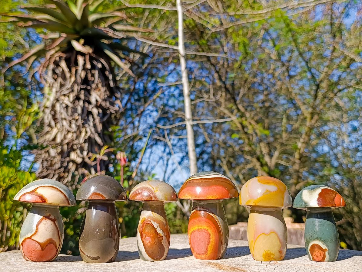 Polished Polychrome Jasper Mushrooms x 6 From NW Coast, Madagascar - Toprock Gemstones and Minerals 