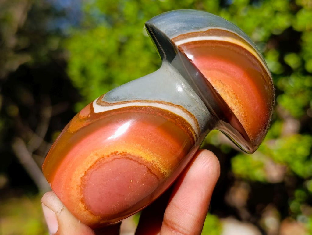 Polished Polychrome Jasper Mushrooms x 6 From NW Coast, Madagascar - Toprock Gemstones and Minerals 