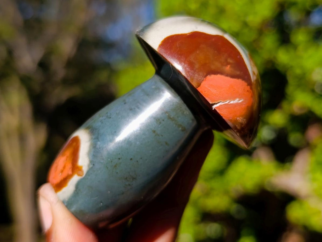 Polished Polychrome Jasper Mushrooms x 6 From NW Coast, Madagascar - Toprock Gemstones and Minerals 