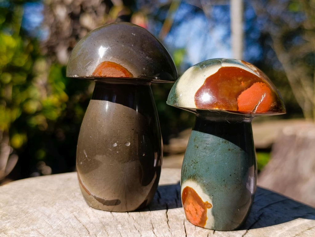 Polished Polychrome Jasper Mushrooms x 6 From NW Coast, Madagascar - Toprock Gemstones and Minerals 