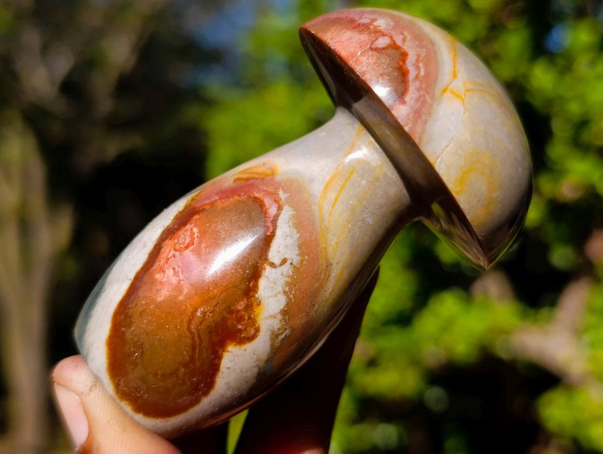 Polished Polychrome Jasper Mushrooms x 6 From NW Coast, Madagascar - Toprock Gemstones and Minerals 