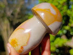 Polished Polychrome Jasper Mushrooms x 6 From NW Coast, Madagascar - Toprock Gemstones and Minerals 
