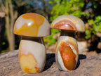 Polished Polychrome Jasper Mushrooms x 6 From NW Coast, Madagascar - Toprock Gemstones and Minerals 