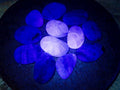 Polished Watermelon Fluorite Palm Stones x 12 From Uis, Namibia - Toprock Gemstones and Minerals 