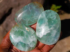 Polished Watermelon Fluorite Palm Stones x 12 From Uis, Namibia - Toprock Gemstones and Minerals 