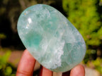 Polished Watermelon Fluorite Palm Stones x 12 From Uis, Namibia - Toprock Gemstones and Minerals 