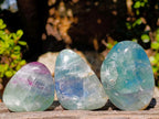 Polished Watermelon Fluorite Palm Stones x 12 From Uis, Namibia - Toprock Gemstones and Minerals 
