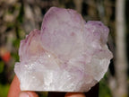 Natural Sunburst Spirit Amethyst Clusters x 6 From Boekenhouthoek, South Africa - Toprock Gemstones and Minerals 