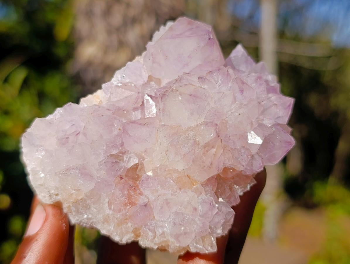 Natural Sunburst Spirit Amethyst Clusters x 6 From Boekenhouthoek, South Africa - Toprock Gemstones and Minerals 