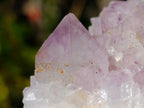 Natural Sunburst Spirit Amethyst Clusters x 6 From Boekenhouthoek, South Africa - Toprock Gemstones and Minerals 