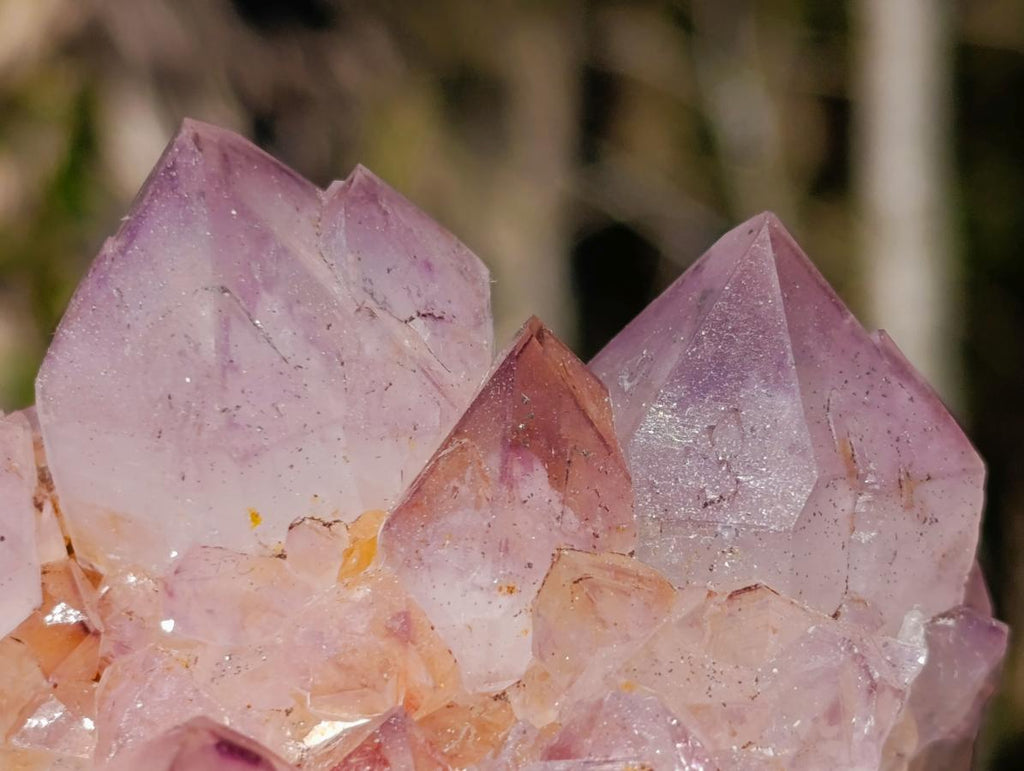 Natural Sunburst Spirit Amethyst Clusters x 6 From Boekenhouthoek, South Africa - Toprock Gemstones and Minerals 