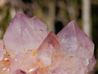 Natural Sunburst Spirit Amethyst Clusters x 6 From Boekenhouthoek, South Africa - Toprock Gemstones and Minerals 