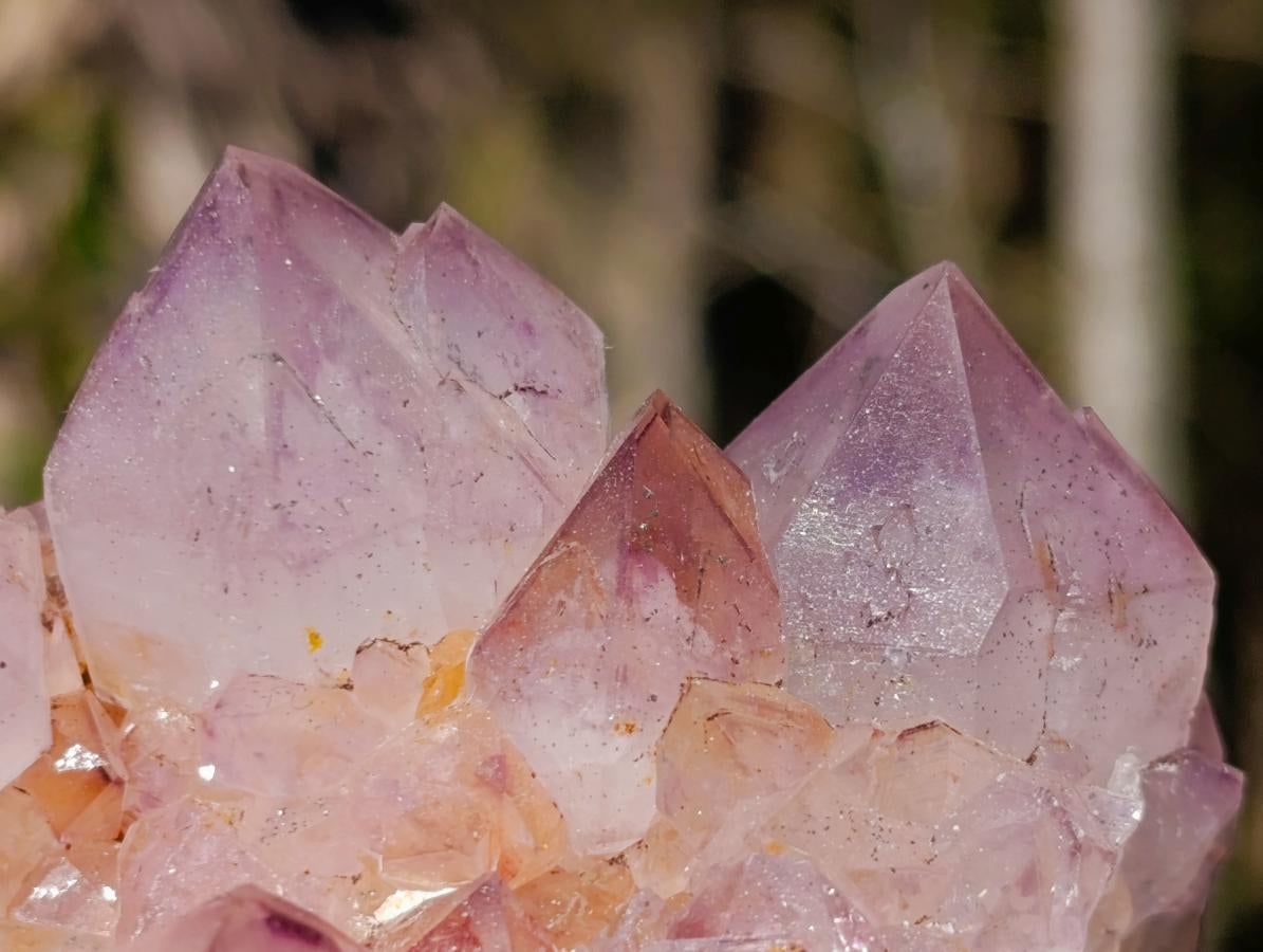 Natural Sunburst Spirit Amethyst Clusters x 6 From Boekenhouthoek, South Africa - Toprock Gemstones and Minerals 