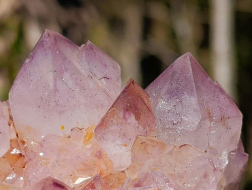 Natural Sunburst Spirit Amethyst Clusters x 6 From Boekenhouthoek, South Africa - Toprock Gemstones and Minerals 