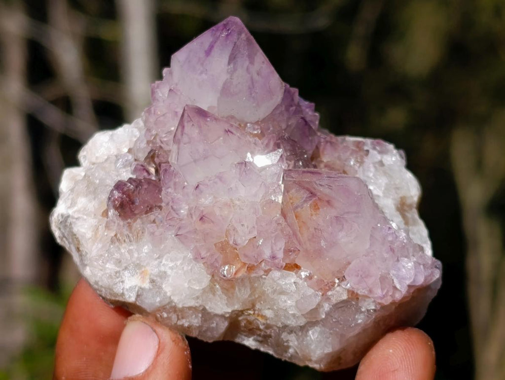 Natural Sunburst Spirit Amethyst Clusters x 6 From Boekenhouthoek, South Africa - Toprock Gemstones and Minerals 