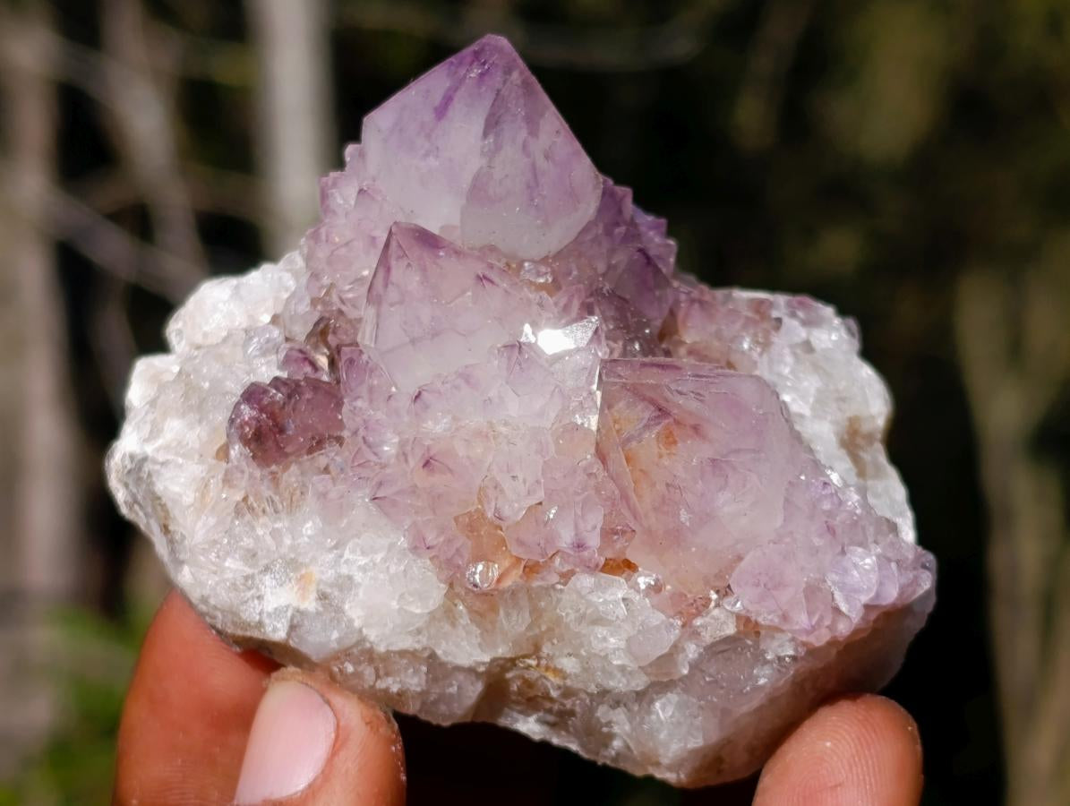 Natural Sunburst Spirit Amethyst Clusters x 6 From Boekenhouthoek, South Africa - Toprock Gemstones and Minerals 